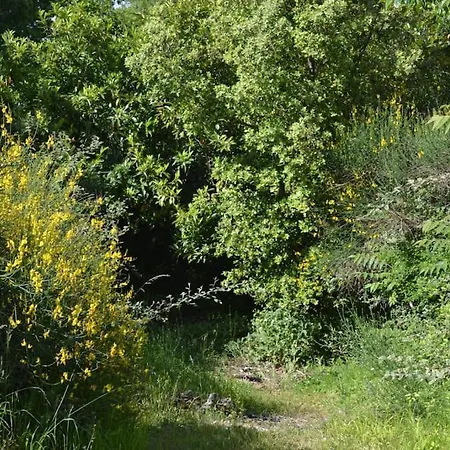 Tatil Evi Jusqu'a 4 Personnes Prayssas (Aquitaine)